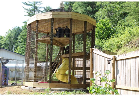 Outdoor enclosure structure on the property