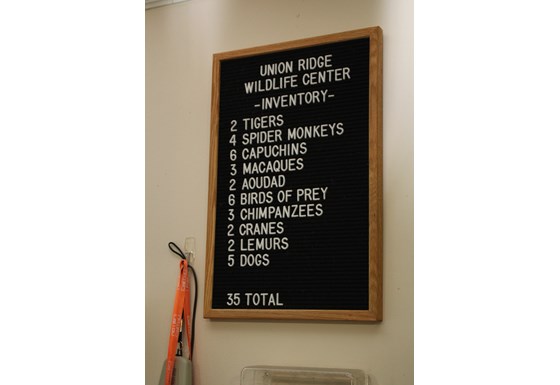 Signage or display board on the property