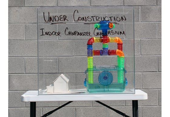 Interior structure on the property